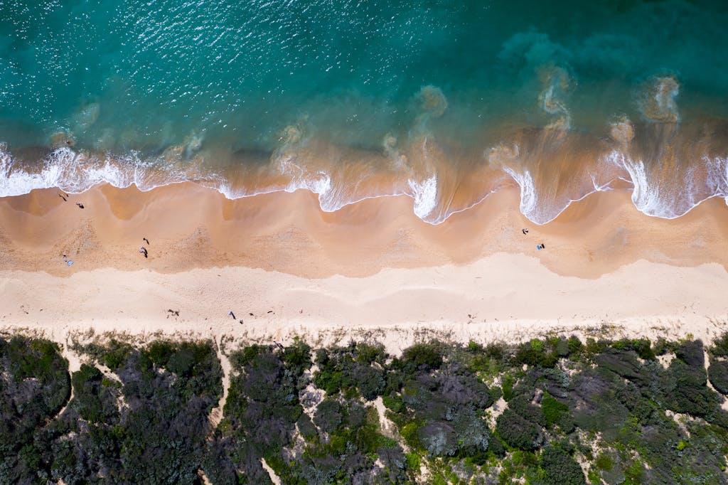 Drone view of turquoise water with foamy waves rolling on sandy seashore with green tropical plants in summer day in nature